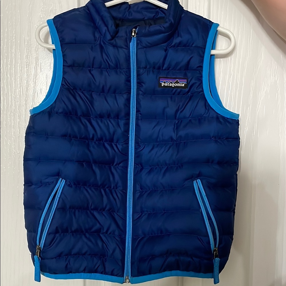 Patagonia Blue Puffer Vest